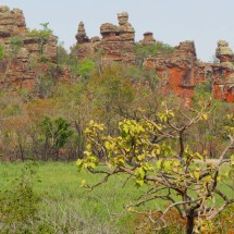 Pinnacles in the Parque Nacional da Chapada dos Guimaraes